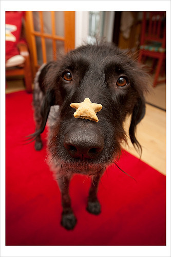 star from the heaven =)