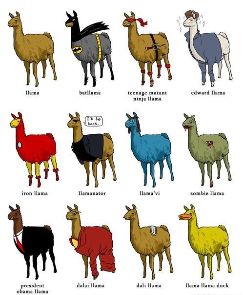 llama =)))