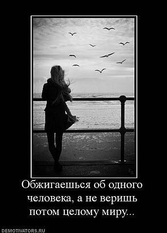 ���������� #1546218