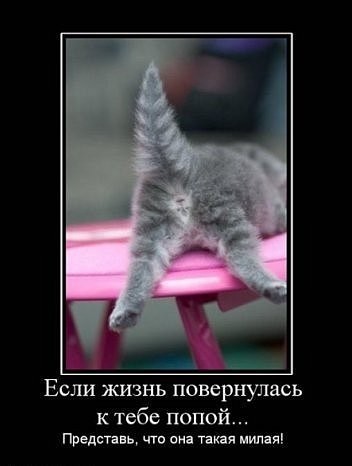 ���������� #1546221