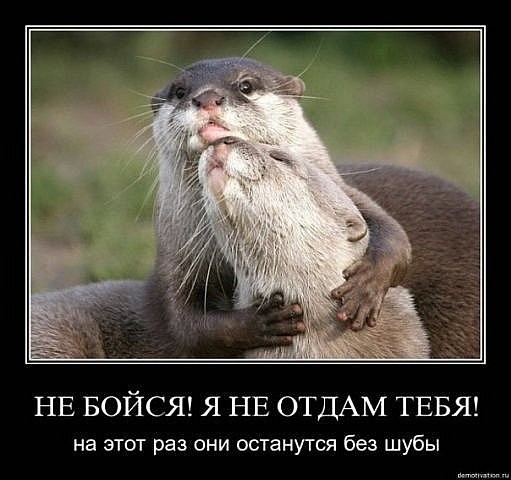 ���������� #1546225