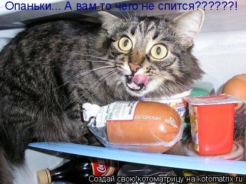 �������� ����