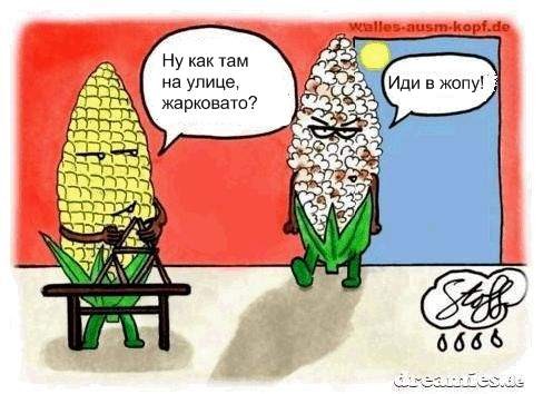 �����, ������� )