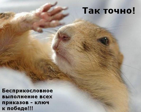 ���������� #1568500