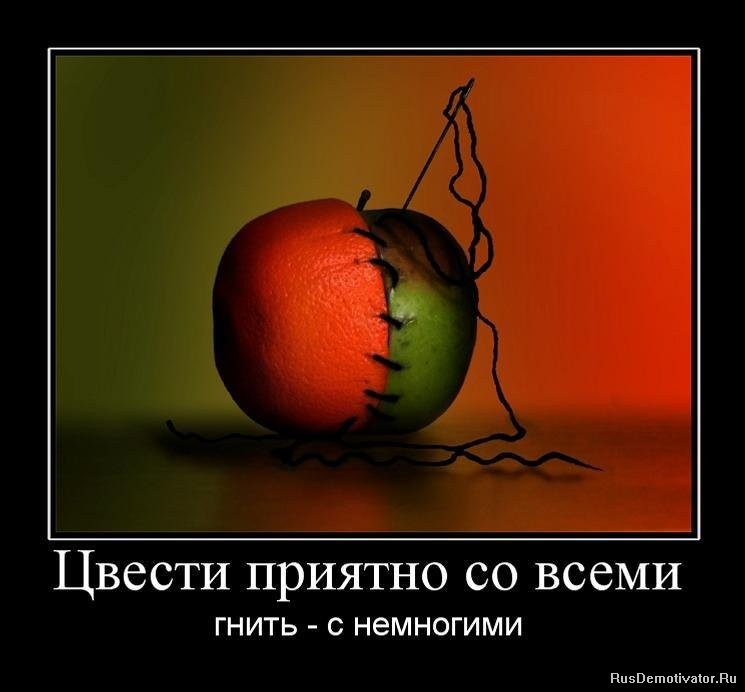 ���������� #1571092