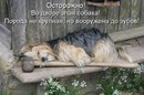 ���������� #1585111
