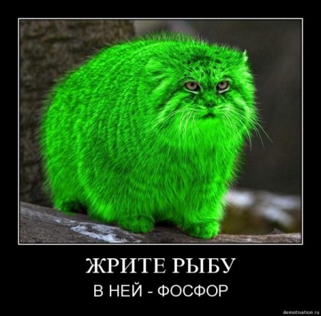 ���������� #1596933