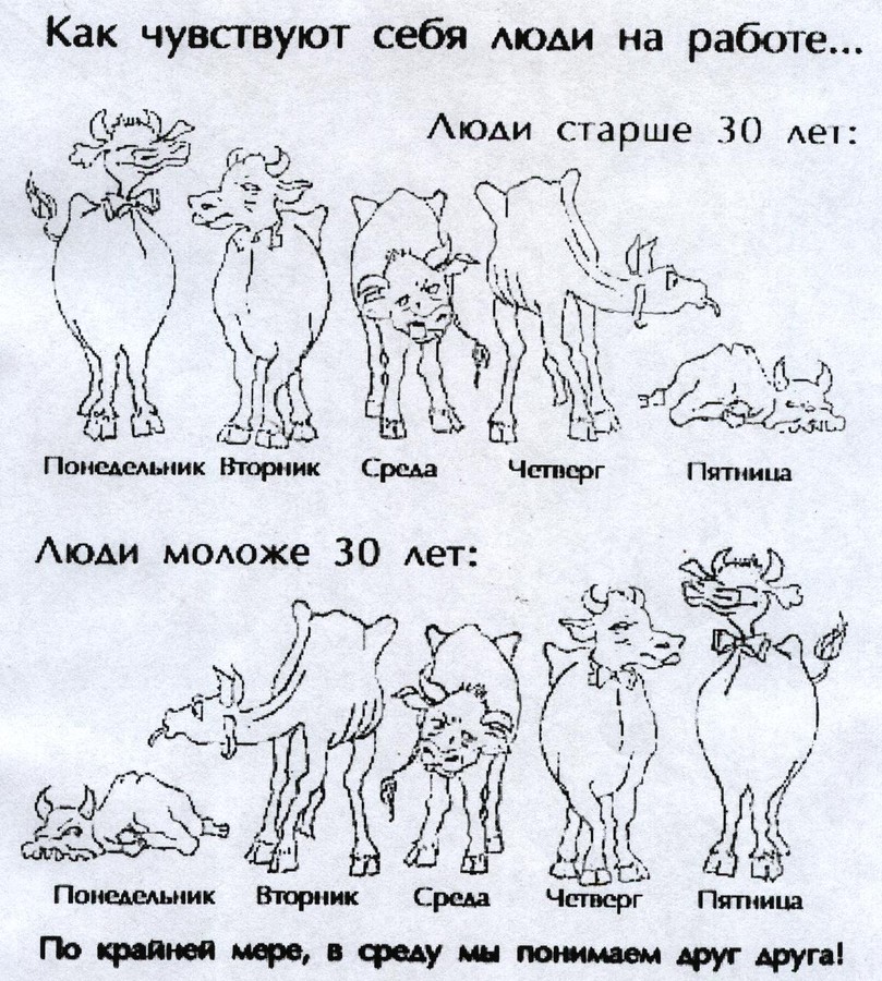 ������� :)