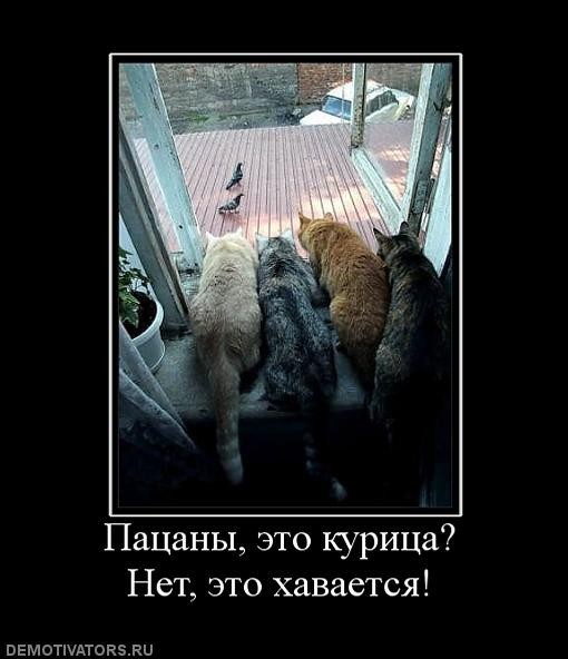 ���������� #1601969