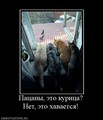 ���������� #1601969