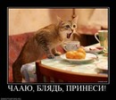 ���������� #1601978