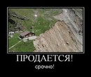 ���������� #1601982
