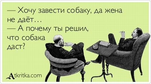 ���������� #1602231