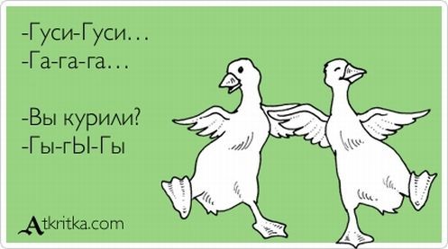 ���������� #1602241