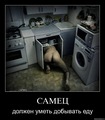 Samej