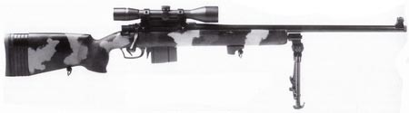 Parker-Hale M-85
