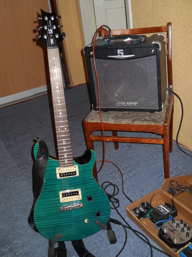 PRS SE CUSTOM