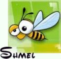 Shmel 3