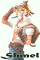 Shmel 5