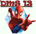 DMS 13