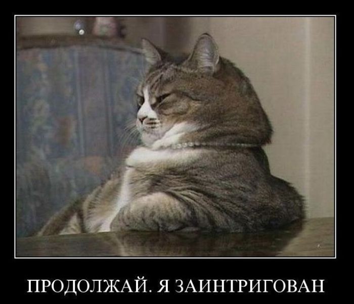 ���������� #1616921
