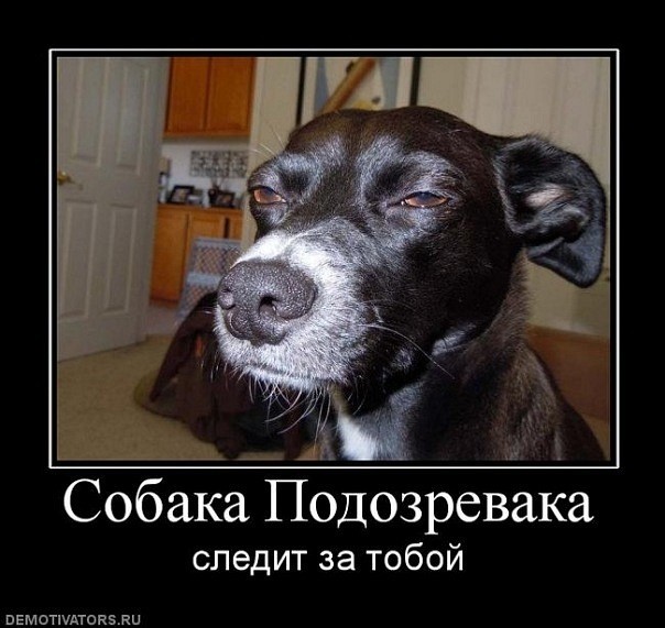 ���������� #1632474