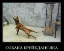 ���������� #1632476