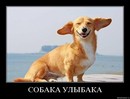 ���������� #1632486
