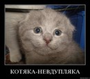 ���������� #1632487