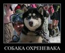 ���������� #1632973