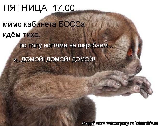 ���������� #1633230