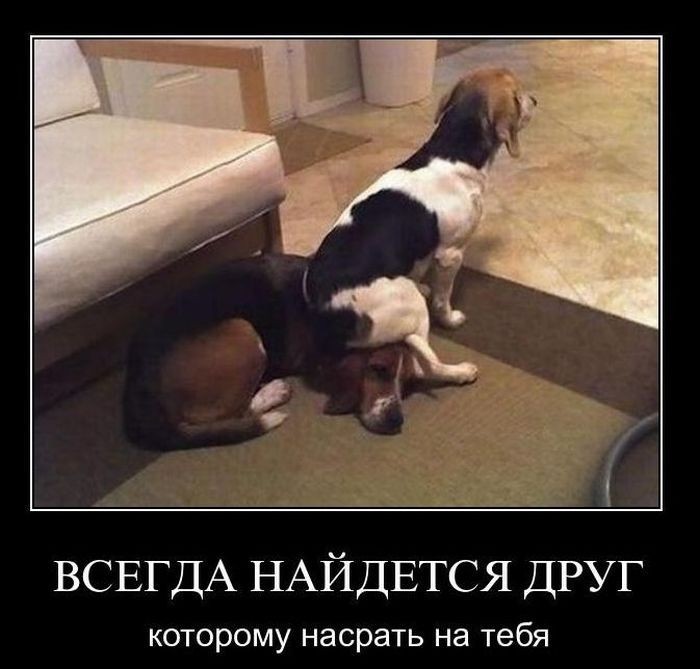 ���������� #1639407