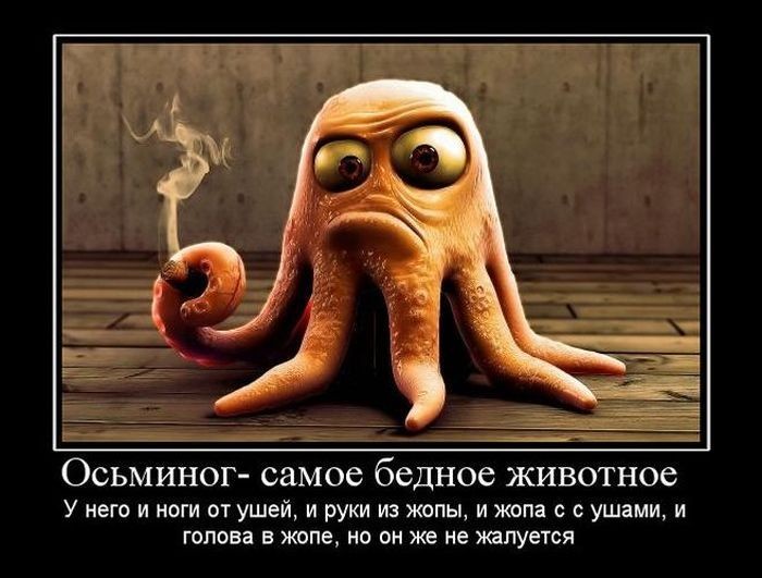 ���������� #1639424