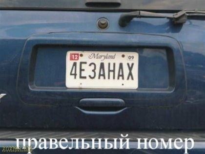 ���������� #1643877