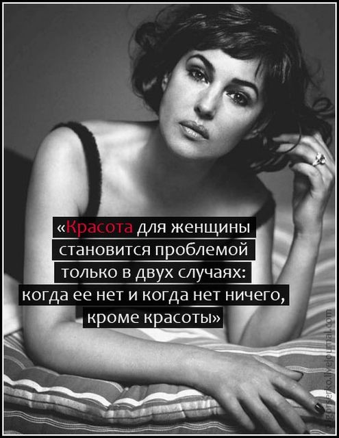 ���������� #1640660