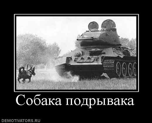 ���������� #1646008