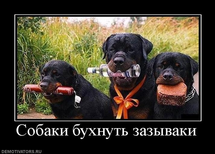 ���������� #1663503