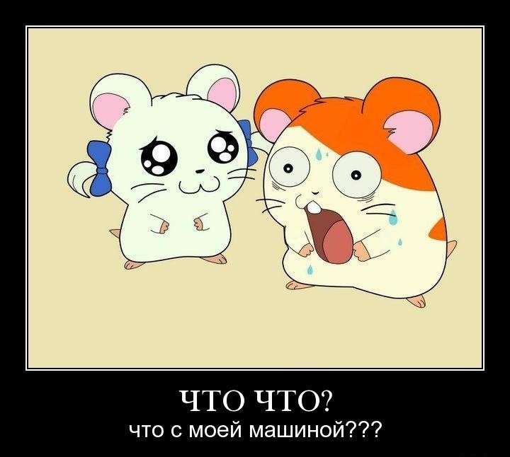 =)))