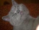 � ������:)