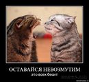 ���������� #1681786