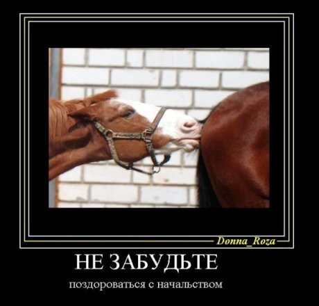 ���������� #1681817