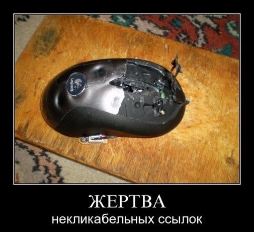 ���������� #1681818
