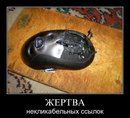 ���������� #1681818