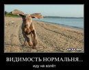���������� #1681827
