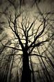 ���������� #1687947