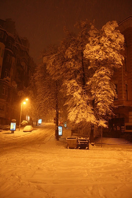 ���� 2010, ����