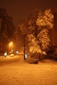 ���� 2010, ����