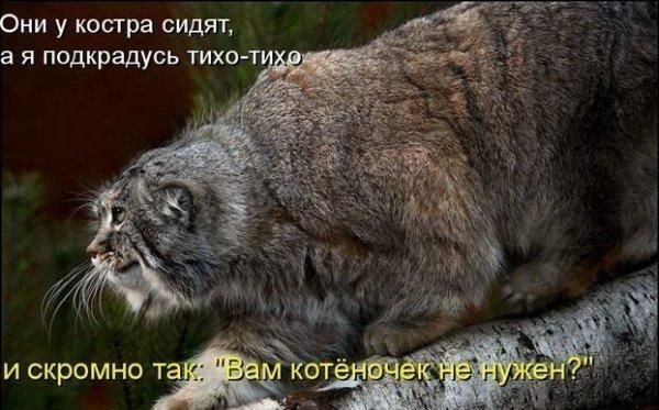 ���������� #1071326