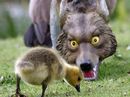 ����� ������ ���� ����� =)