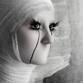 ���������� #1703827